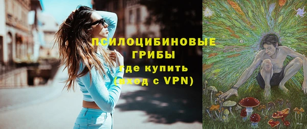 СК Волосово